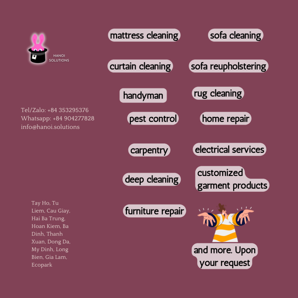 Hanoi Solutions services