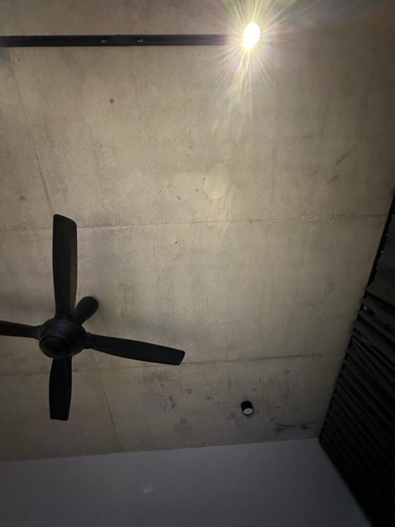 Home mold removal in humid season - ceiling home removal