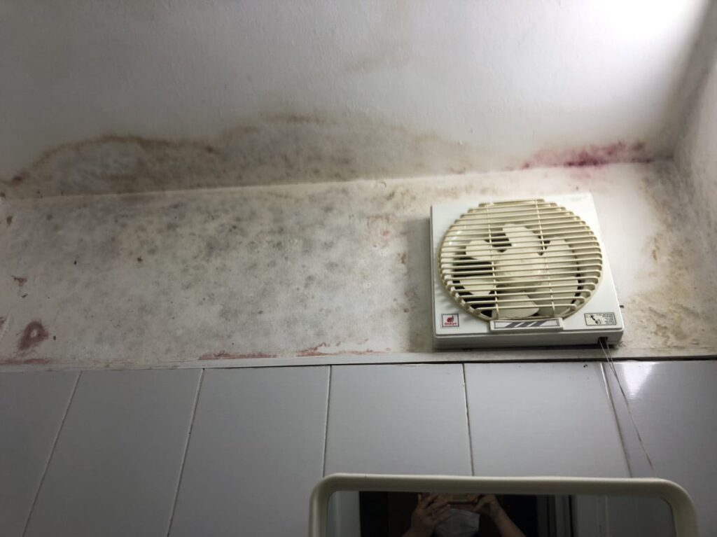 Mold-removal