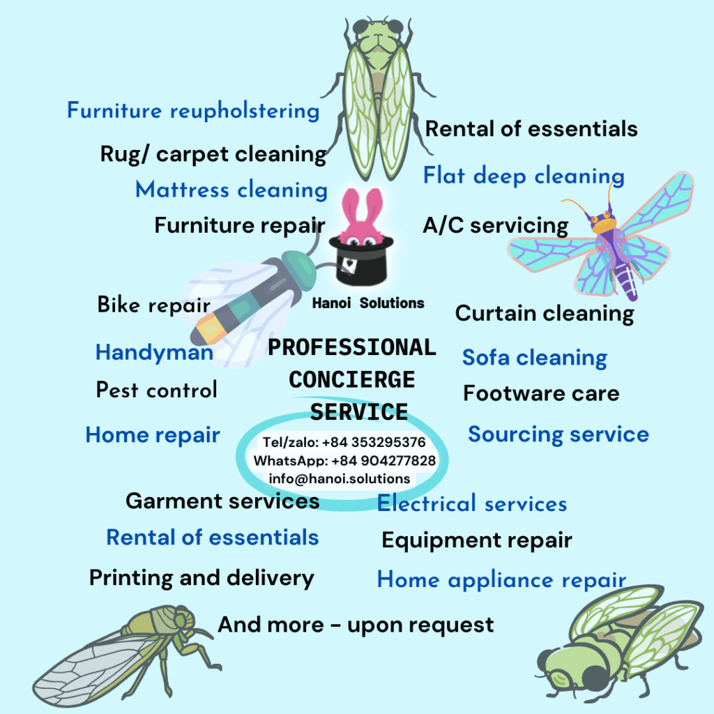 Hanoi Solutions - Professional Concierge Service