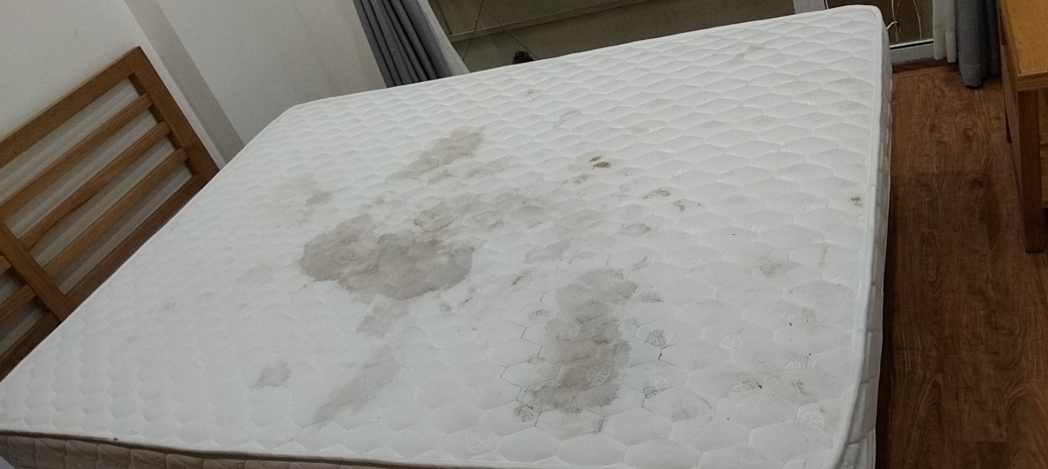 Mattress with heavy and deep mold and stain before cleaning