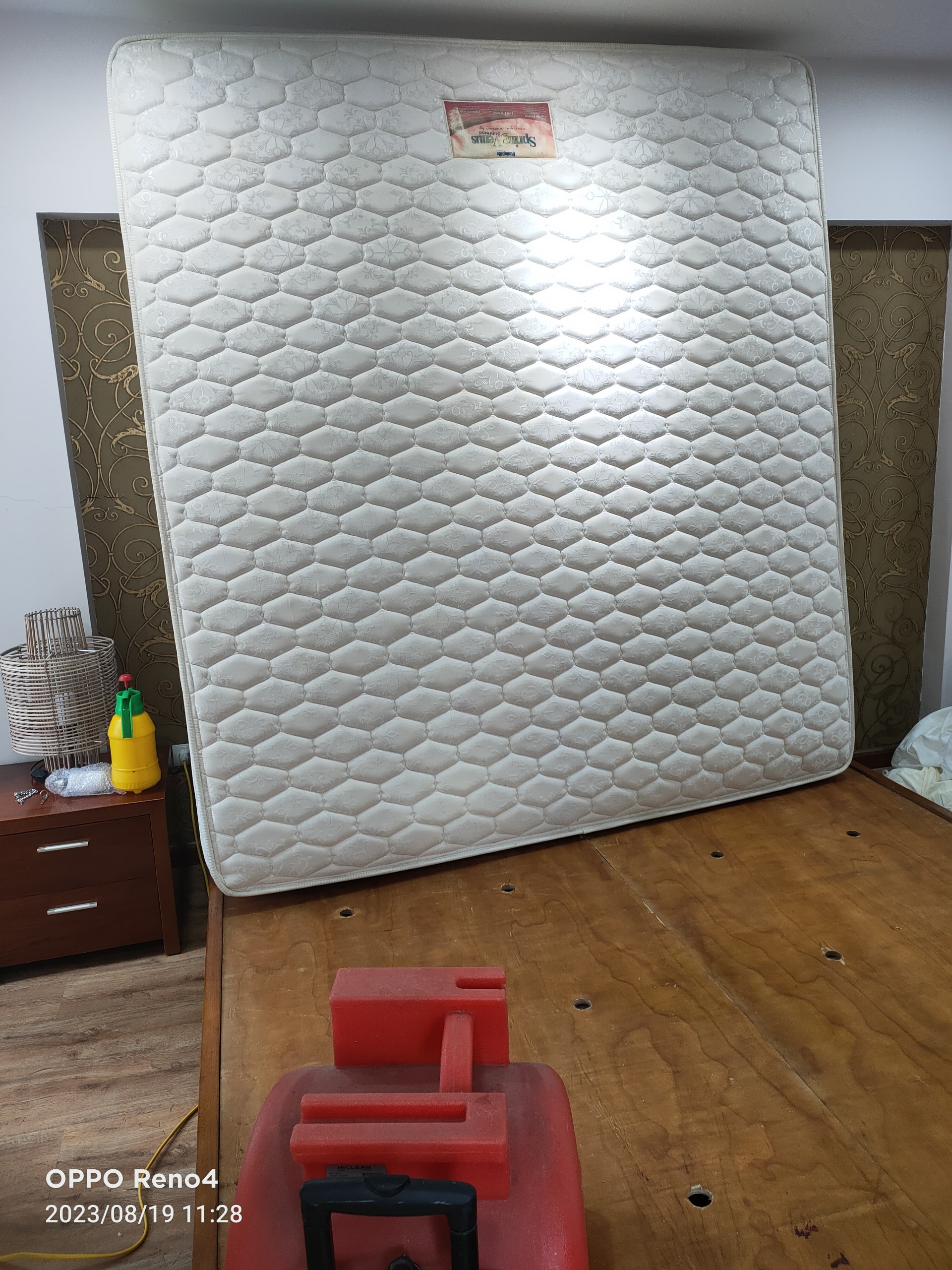 Mattress-steam-cleaning-mold removal