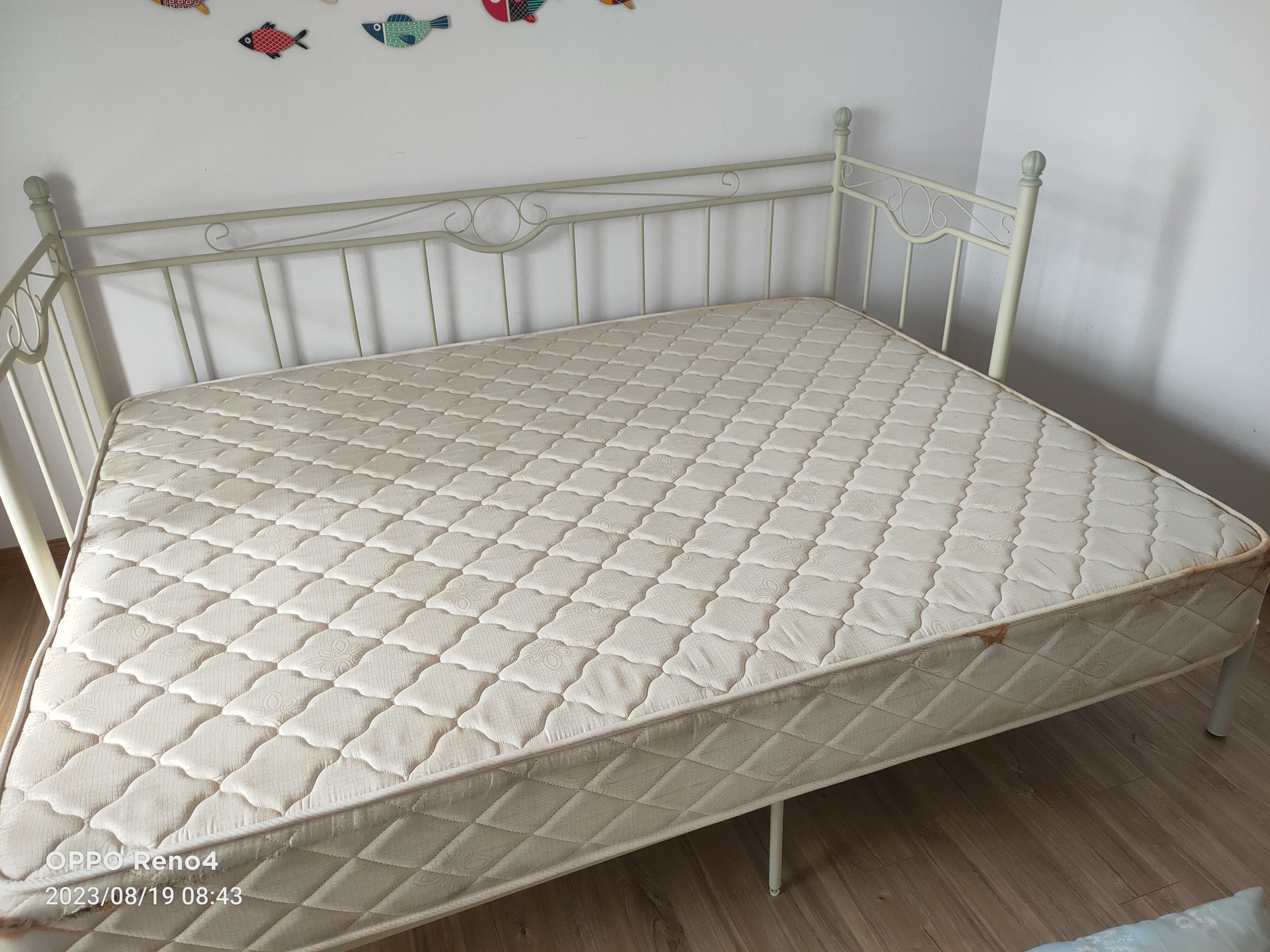 Mattress steam cleaning - mold and stain removal