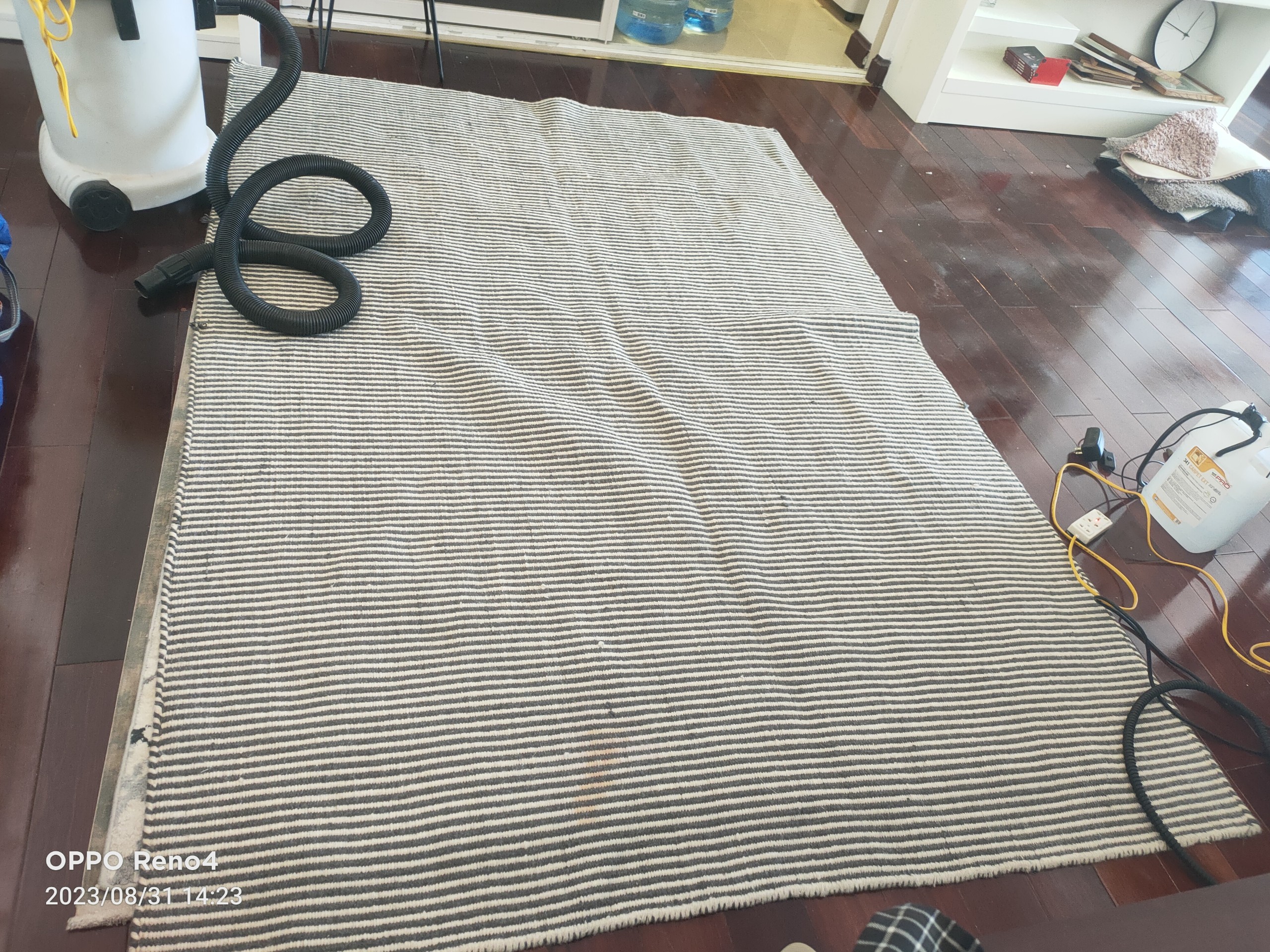 Rug steam cleaning