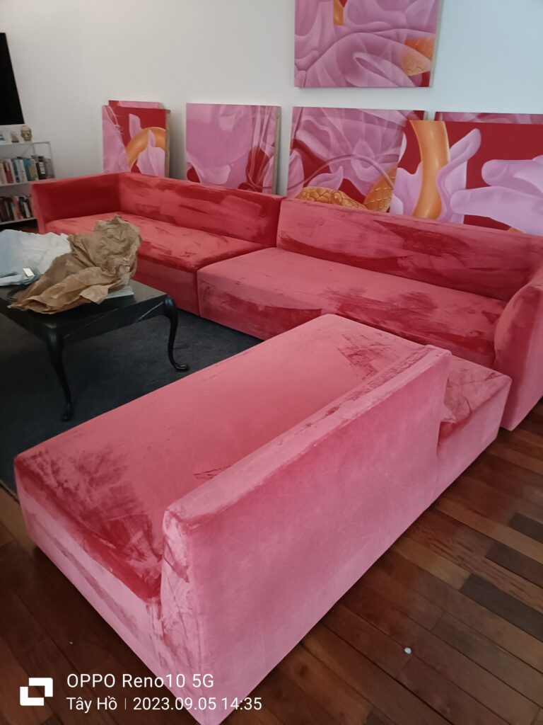 Velvet sofa steam cleaning