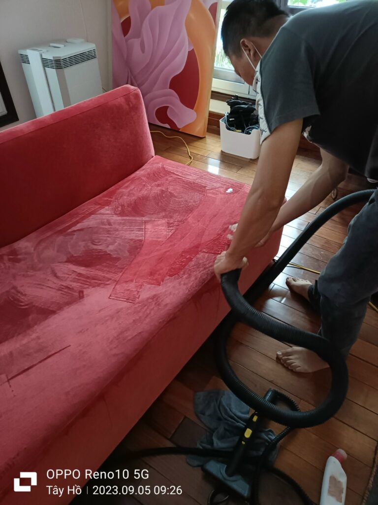 Upholstery-steam-cleaning - velvet sofa