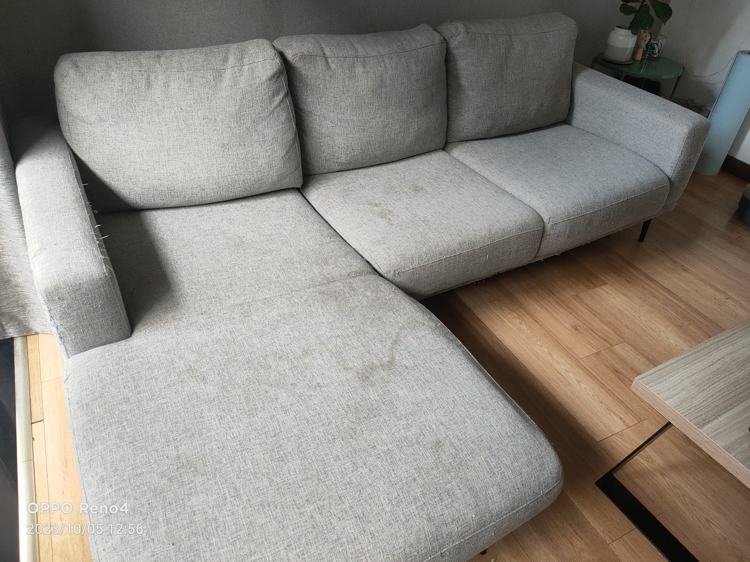 Sofa cleaning