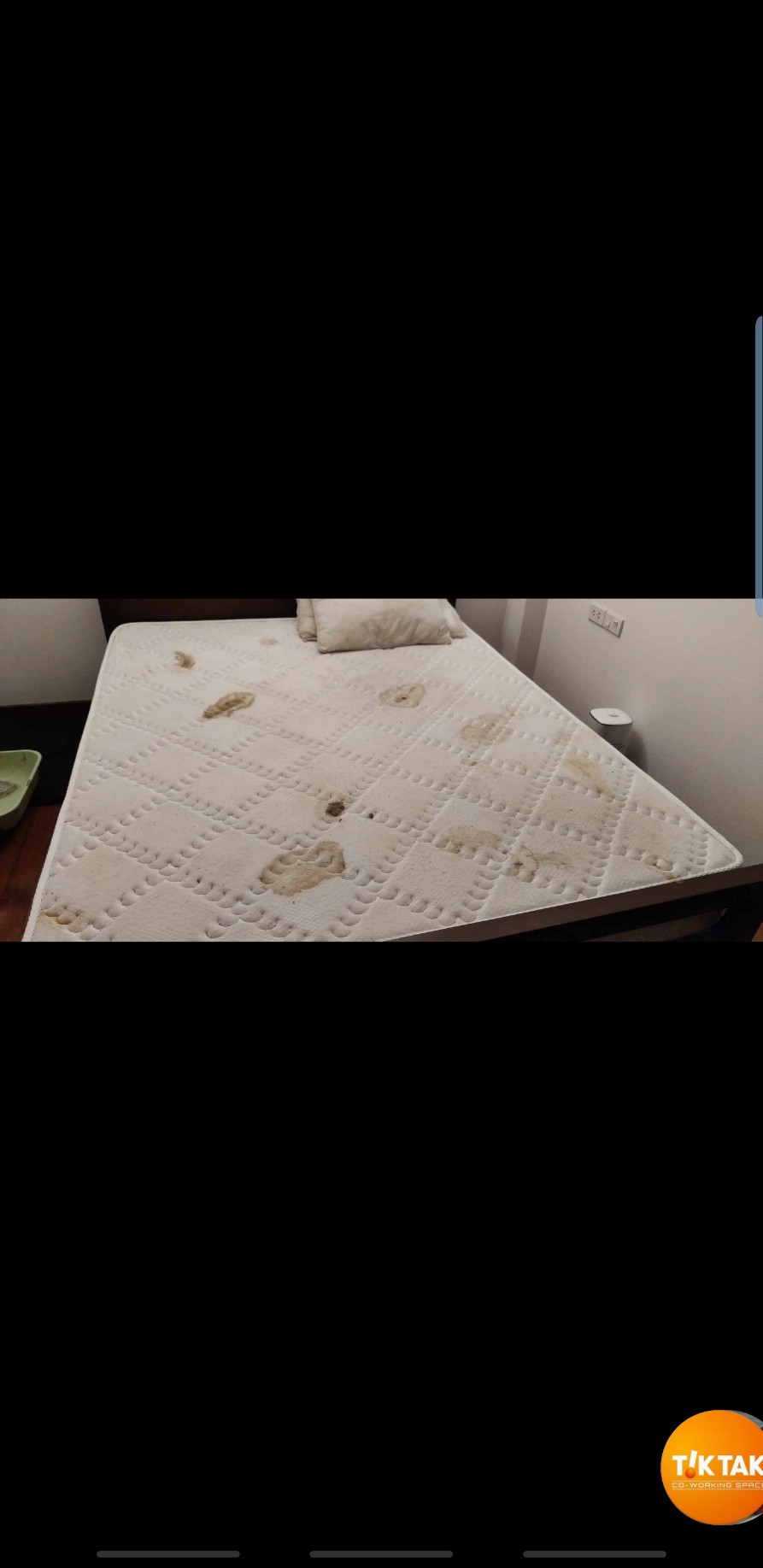 Mattress cleaning - cat vomit and mess