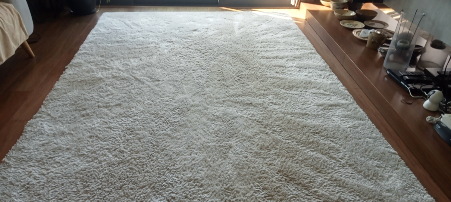 Carpet cleaning (dog's mess)