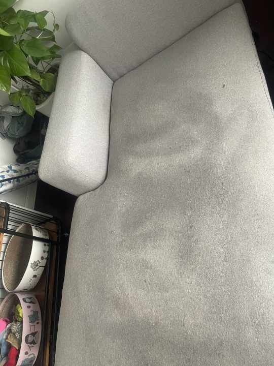 Sofa steam cleaning