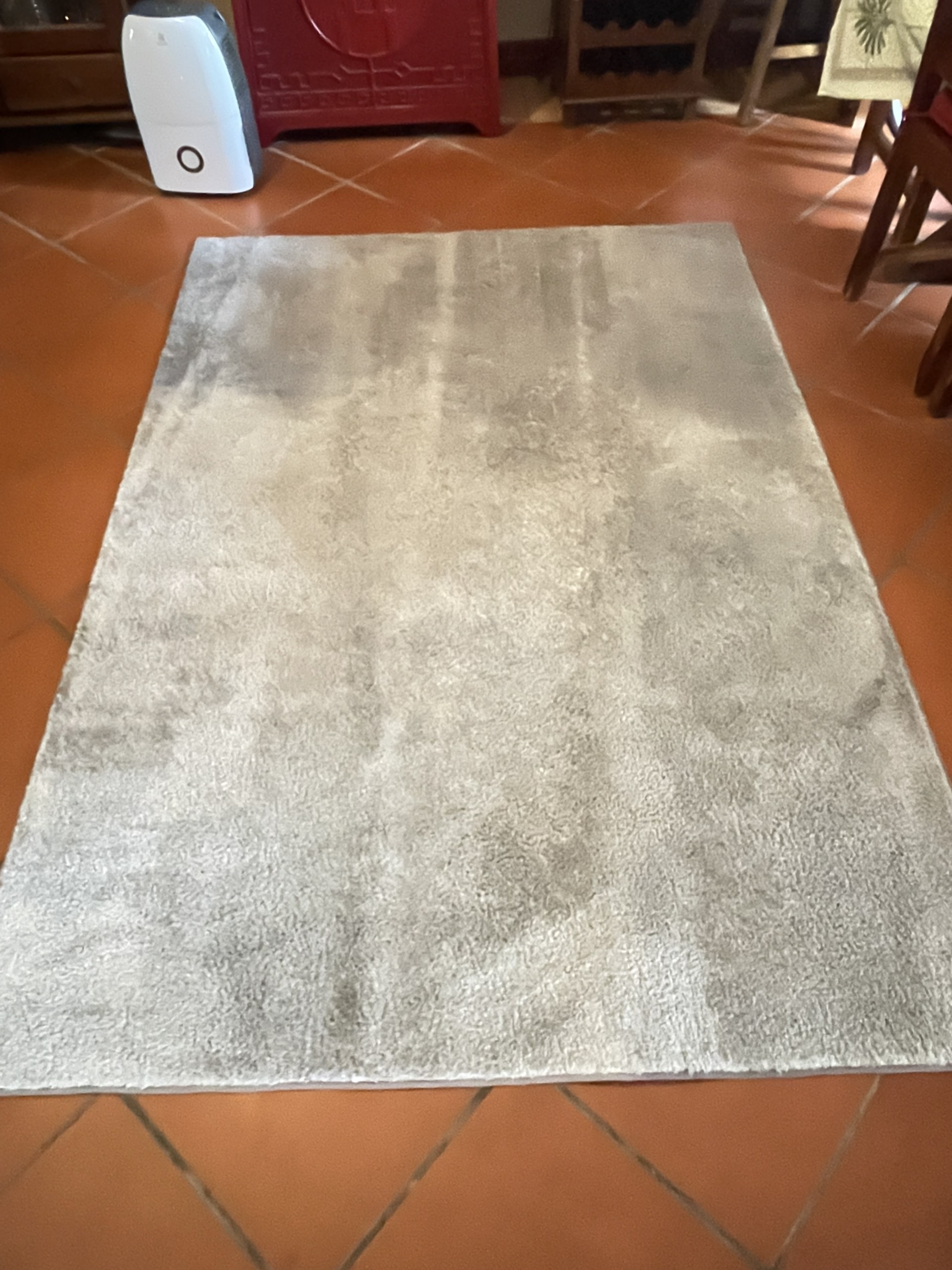 Rug cleaning