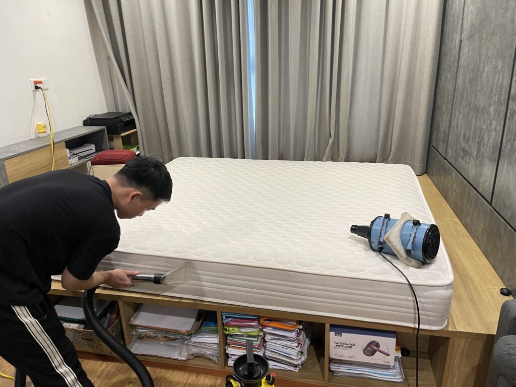 Mattress steam cleaning