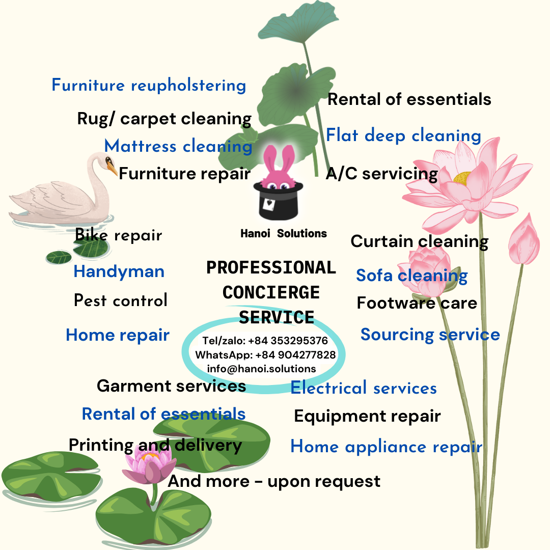 Hanoi Solutions - Services