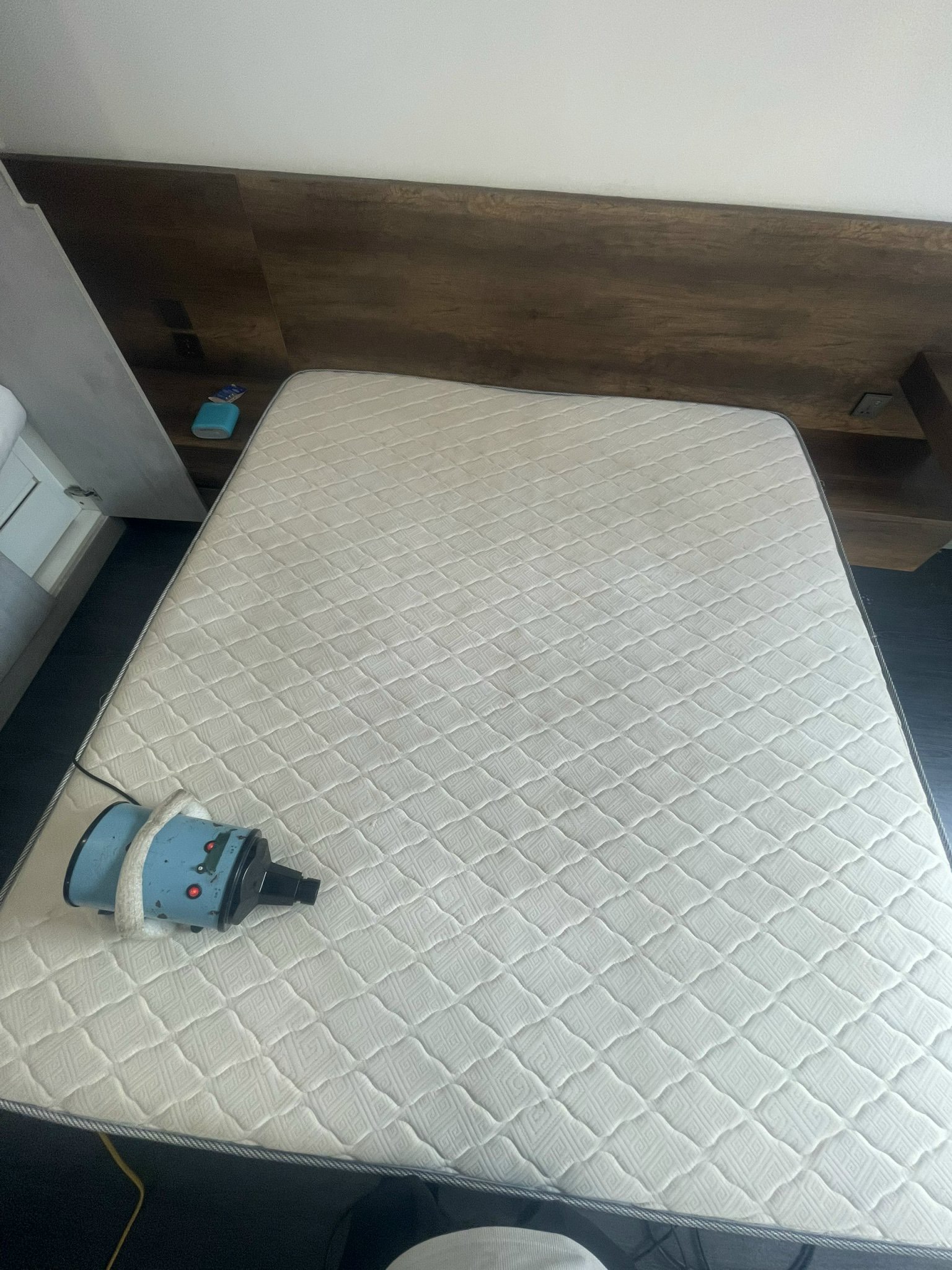 Mattress steam cleaning - stain and mold removal