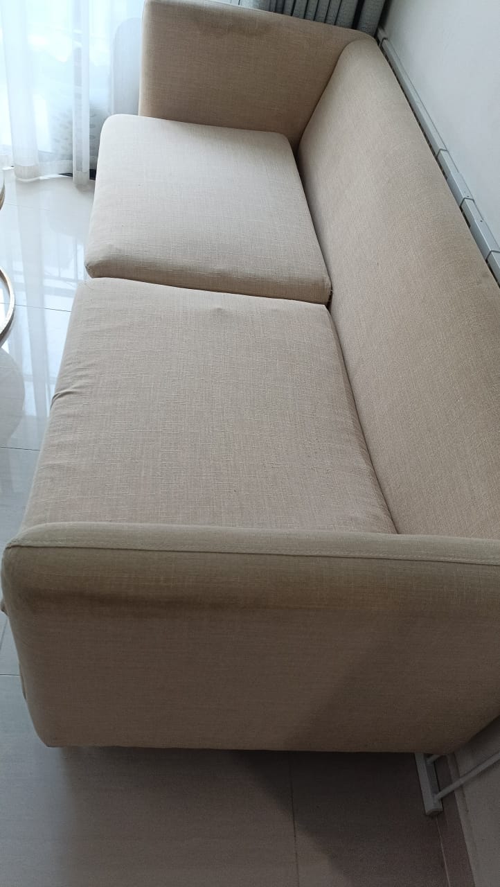 Sofa steam cleaning