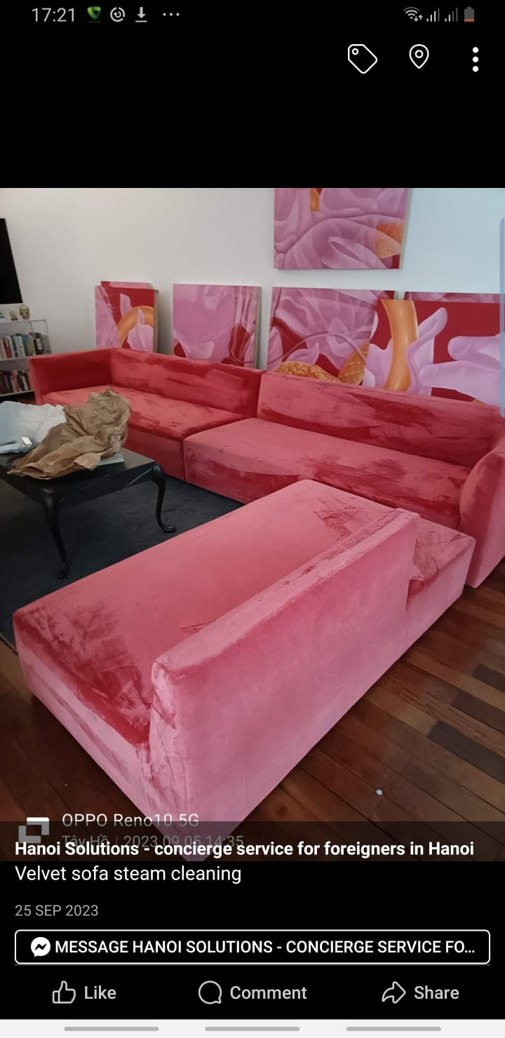 Sofa steam cleaning - pets' mess removal