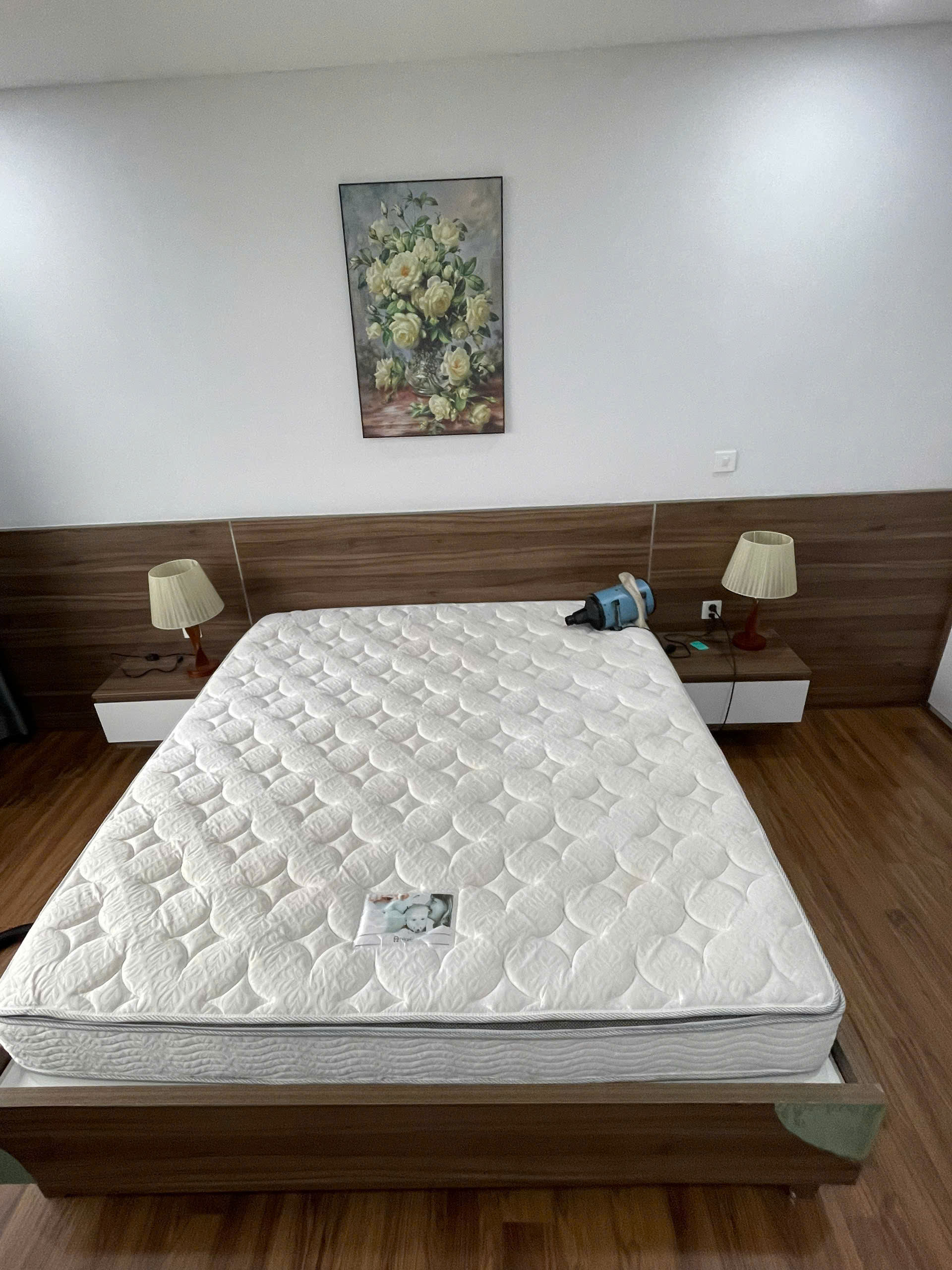 Mattress steam cleaning