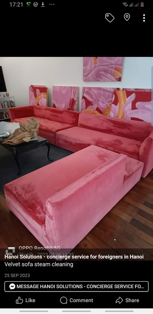 Sofa steam cleaning