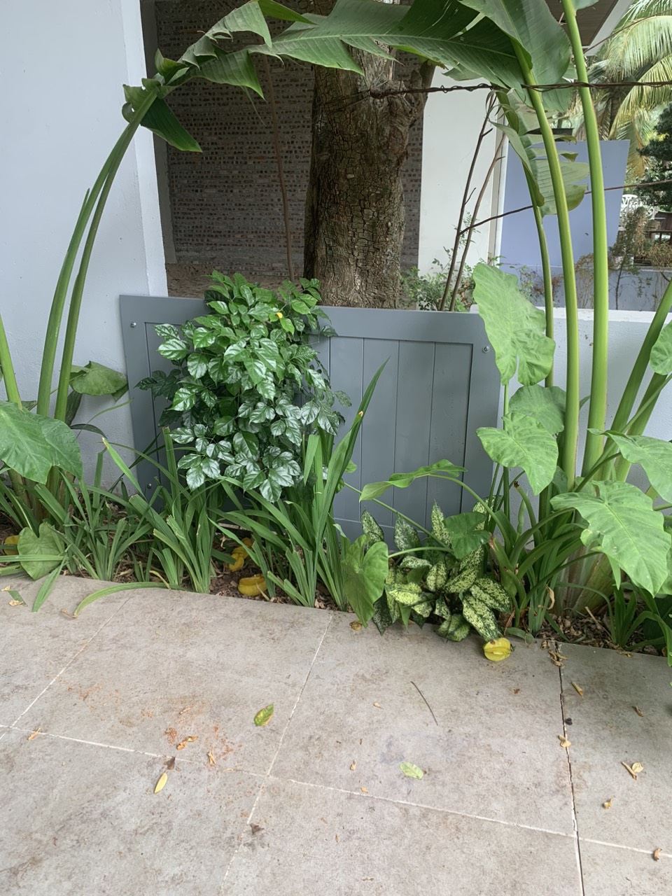 Carpentry - garden gate & solid fence