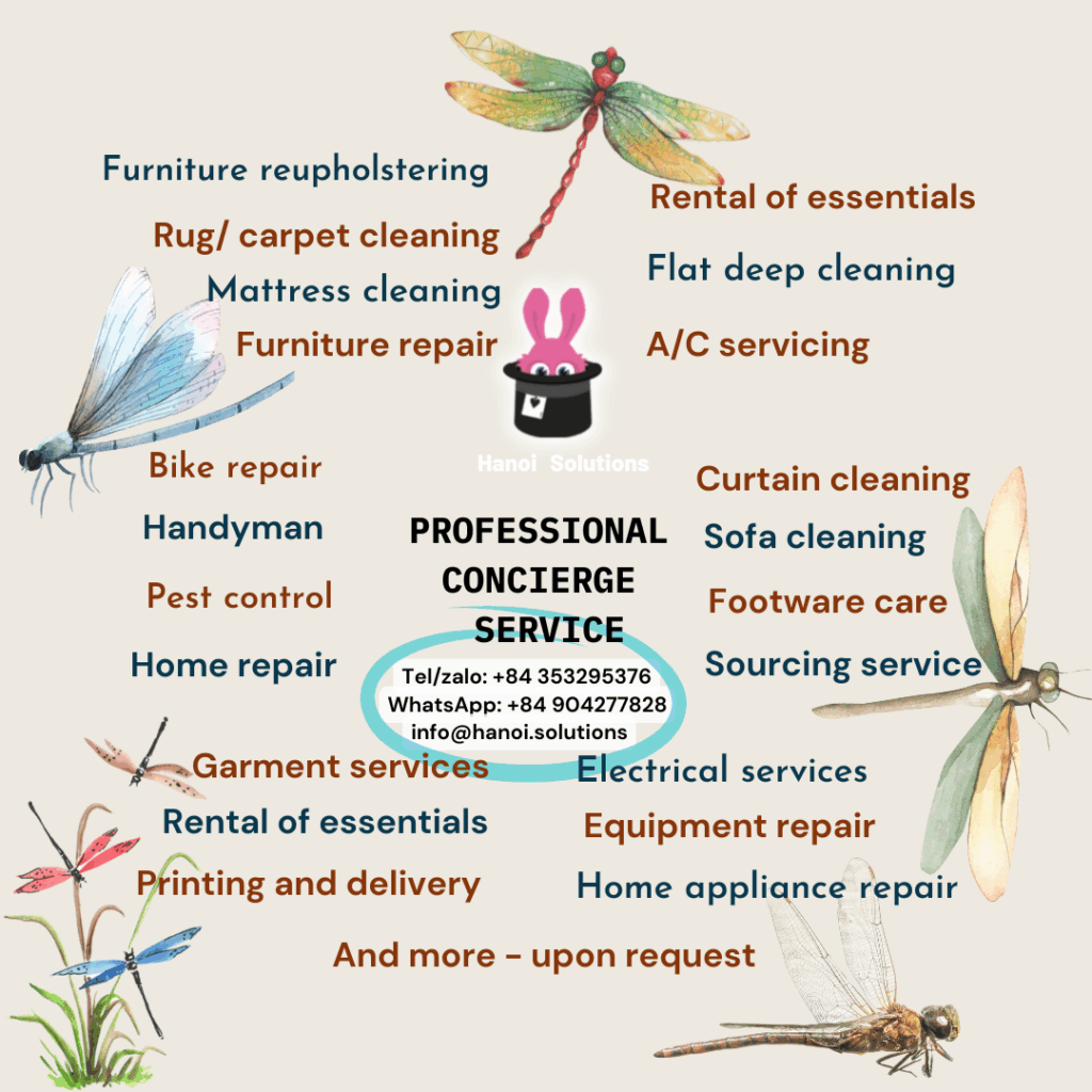 Hanoi Solutions - Professional Services